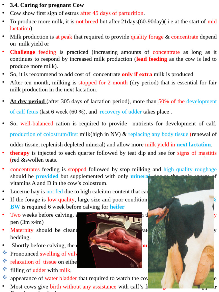 Dairy Cattle Management Guidelines | PDF | Dairy Cattle | Cattle