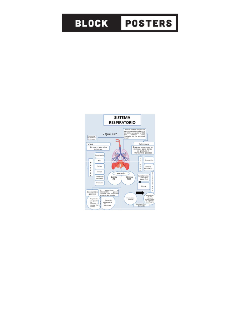 A4 Portrait Block Poster Settings | PDF