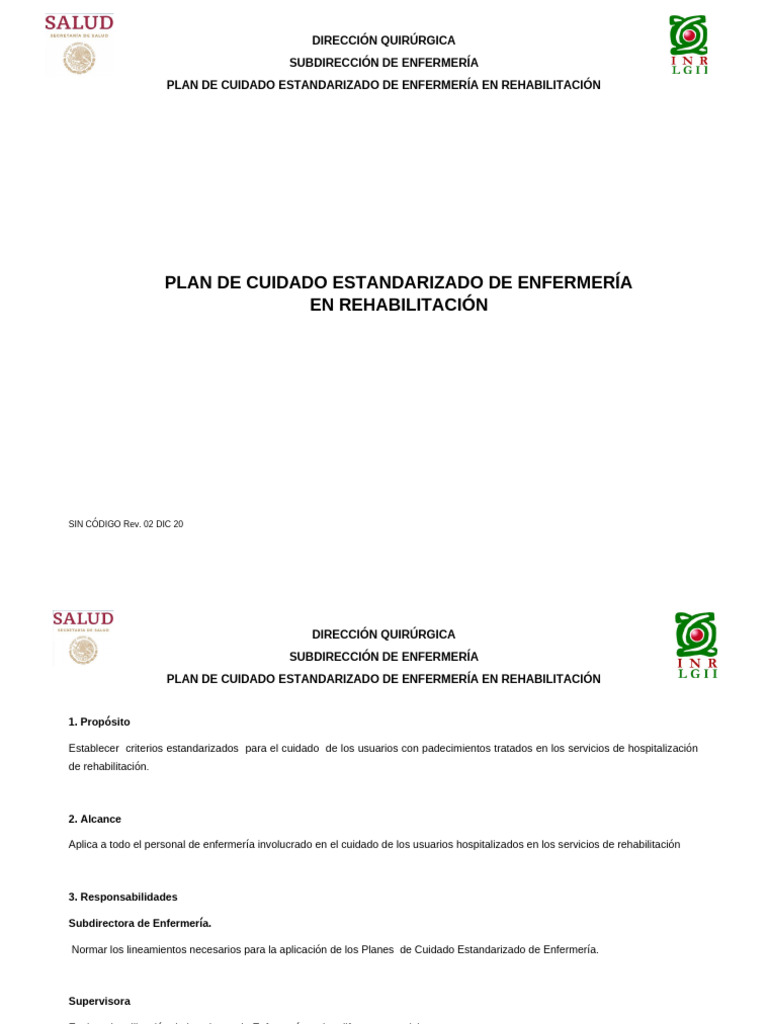 Plan de Cuidado Estandarizado en Rehabilitación | PDF | Baño | Enfermería