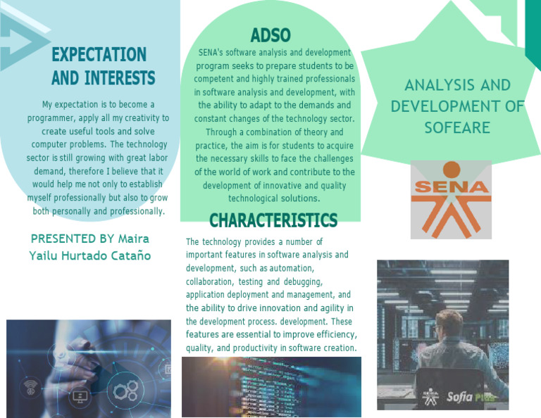 Software Development Expectations and Skills | PDF