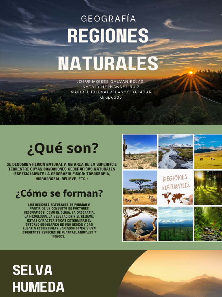 Regiones Naturales y sus Características | PDF | Selva | Zona tropical