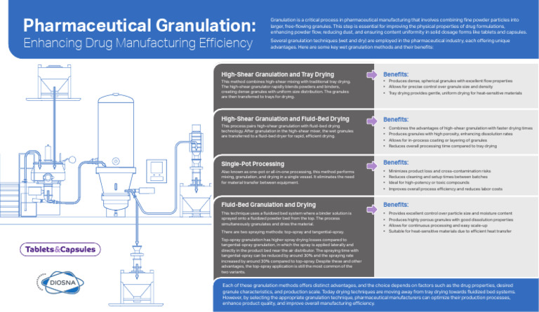 TC CM Diosna Pharmaceutical Granulation v2 | PDF | Physical Sciences ...