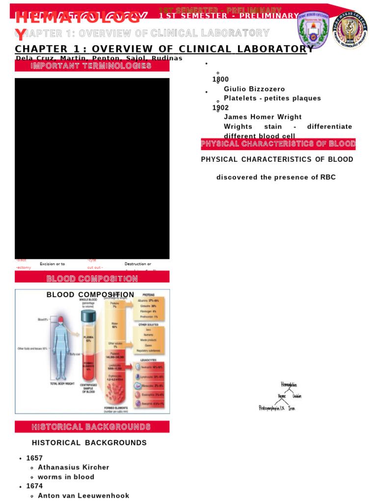 Group 2 - Hematology Systematic Notes Prelim | PDF | Hematopoietic Stem ...