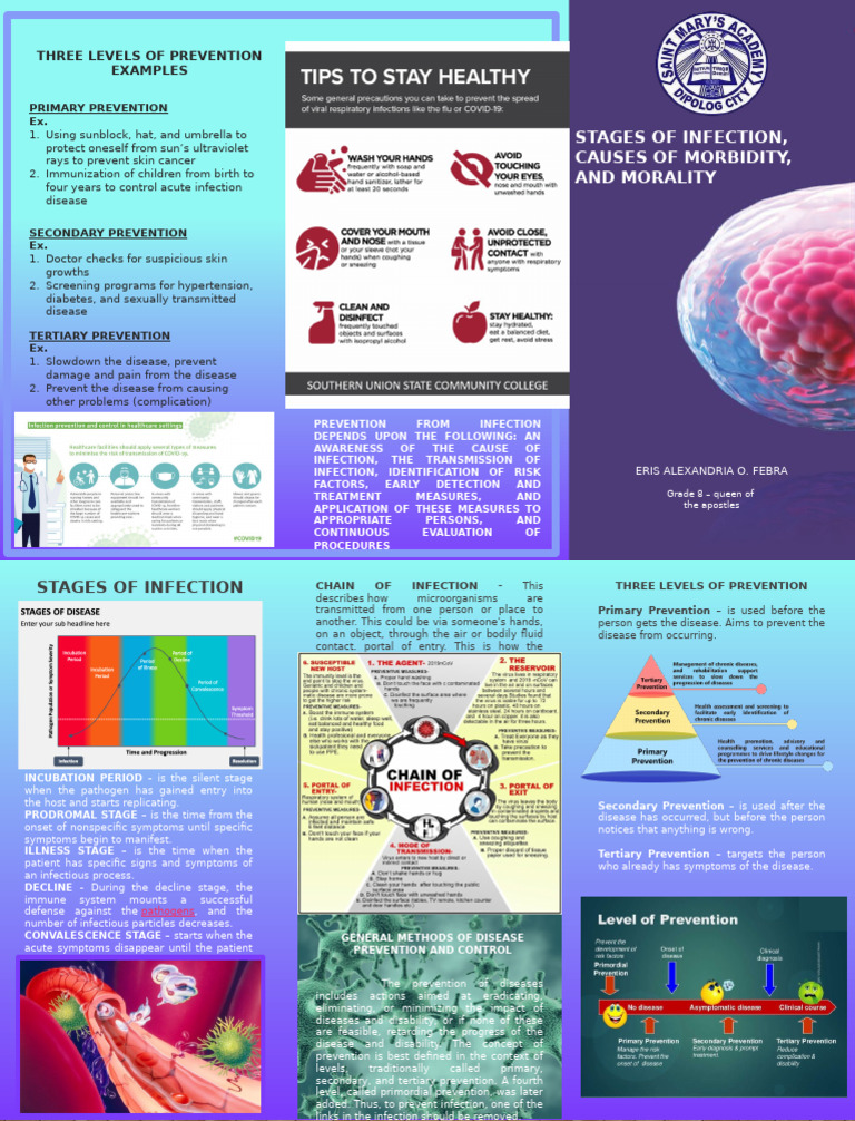 Infection Prevention and Stages Explained | PDF | Infection ...