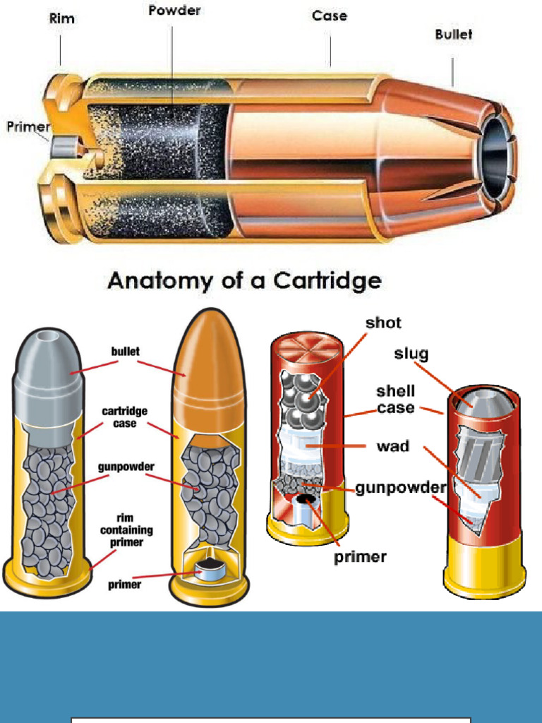 Anatomy and Types of Bullets and Cartridges | PDF | Cartridge (Firearms ...