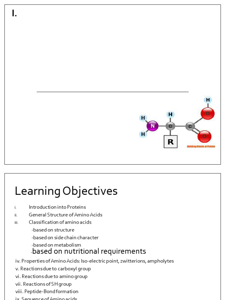 Amino Acids and Protein Classification Guide | PDF | Amino Acid ...