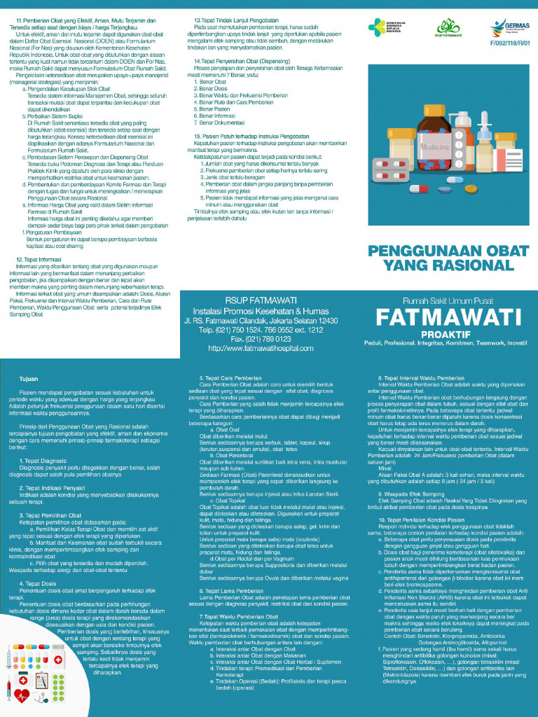 Penggunaan Obat Yang Rasional | PDF