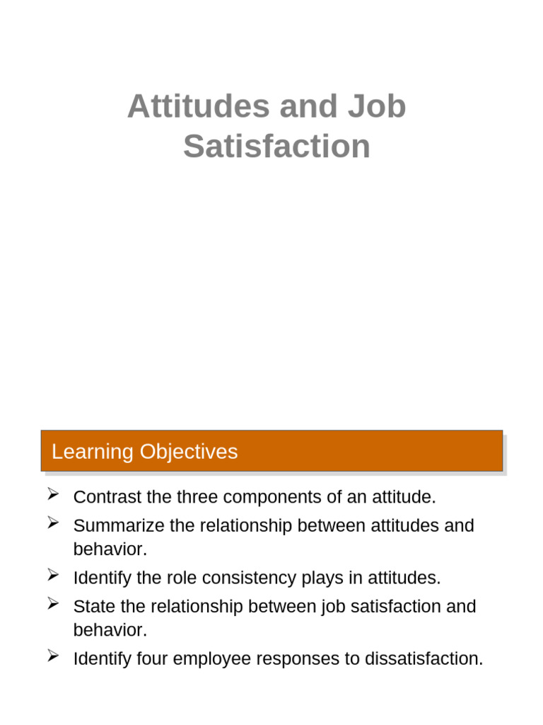 #3 Attitudes & Job Satisfaction | PDF | Attitude (Psychology) | Job ...