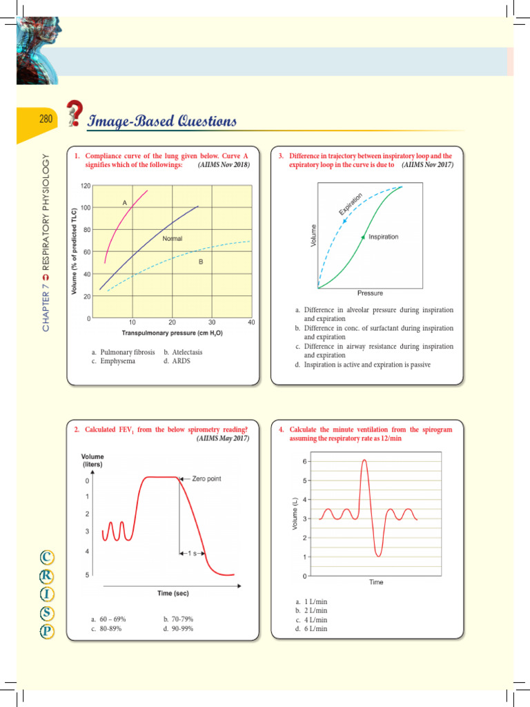 481128495-Respiratory-Physiology-MCQs | PDF | Exhalation | Lung