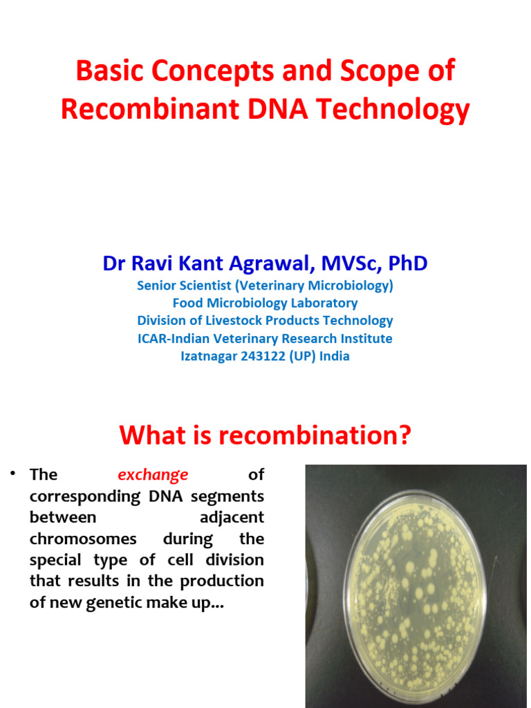 Overview of Recombinant DNA Technology | PDF | Dna | Molecular Cloning