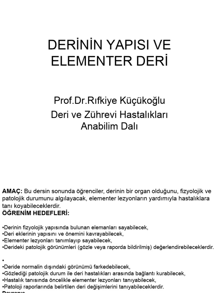 Derinin Yapısı Ve Elementer Lezyonlar | PDF