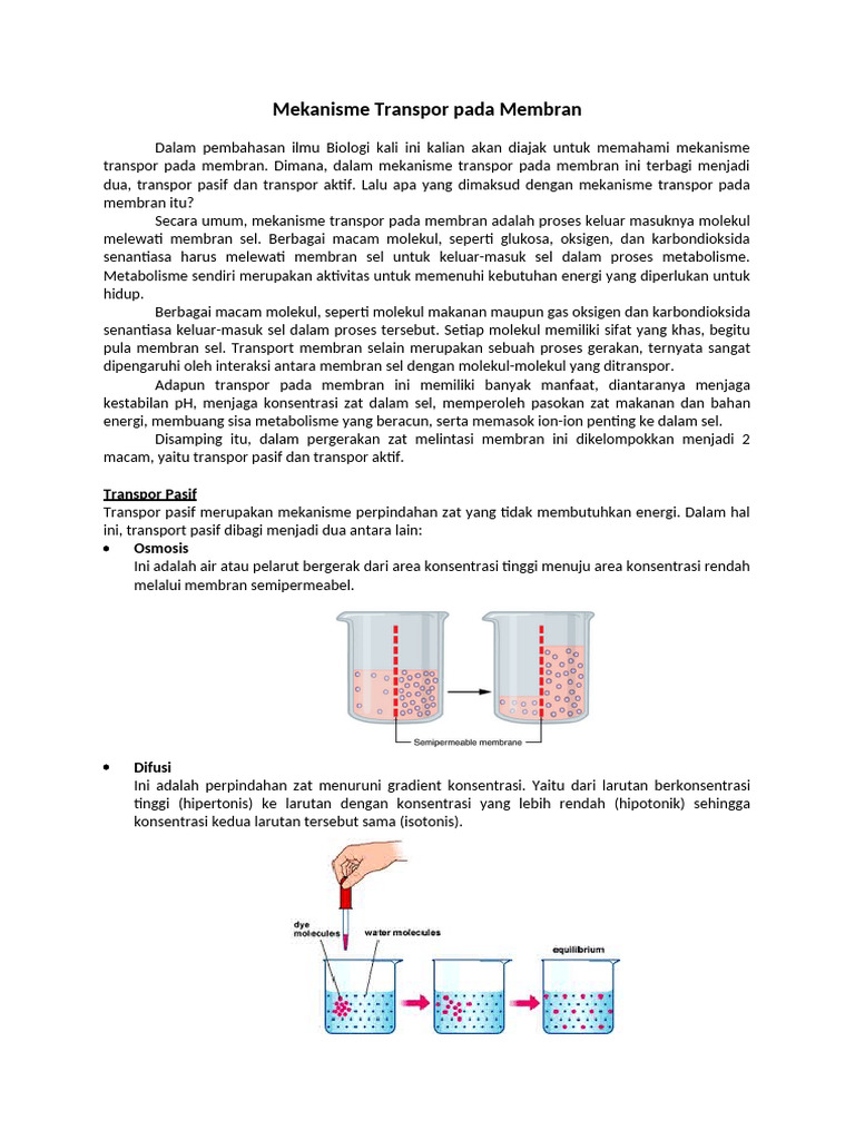 BB 11.1.3 - Mekanisme Transpor Pada Membran | PDF
