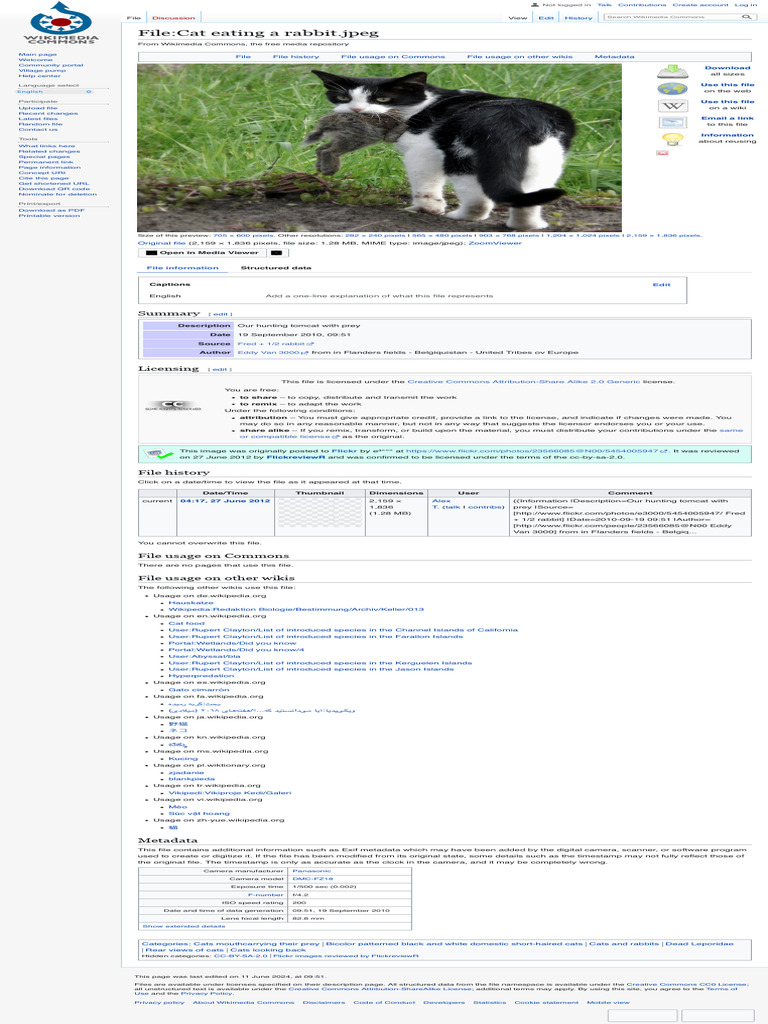 FileCat Eating A Rabbit - Jpeg - Wikimedia Commons | PDF | Metadata ...