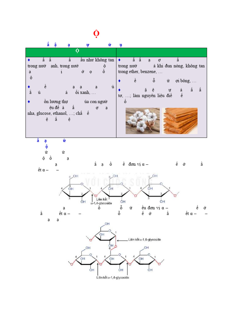 Chương 2. TINH B T VÀ CELLULOSE | PDF