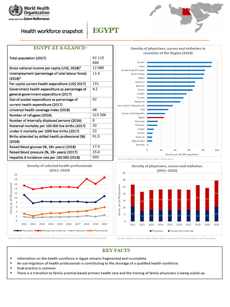Egypt Health Workforce Overview 2021 | PDF | Arab World | Health Human ...