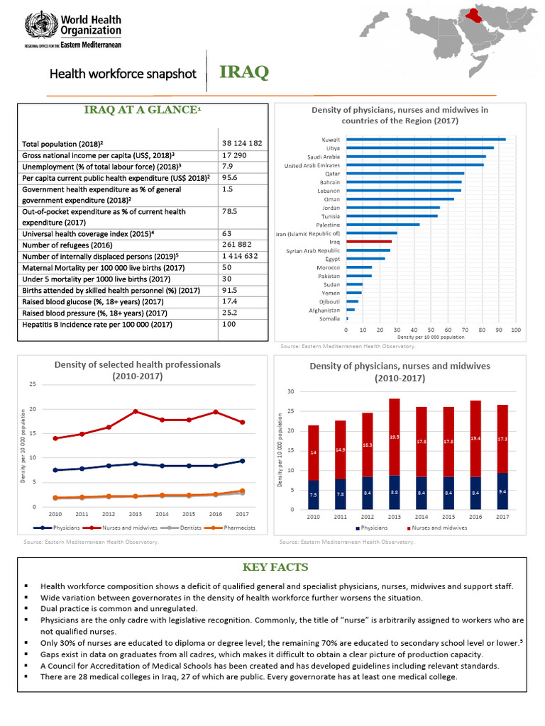 Iraq Health Workforce Overview 2018 | PDF | Health Human Resources ...