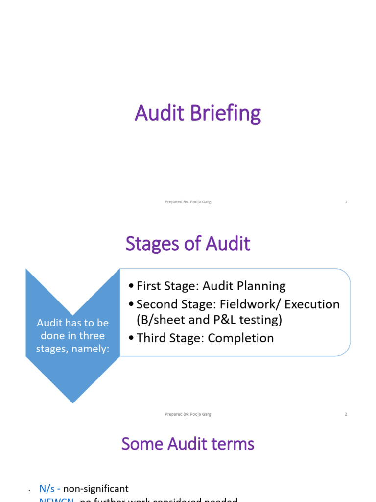Comprehensive Audit Process Guide | PDF | Expense | Depreciation