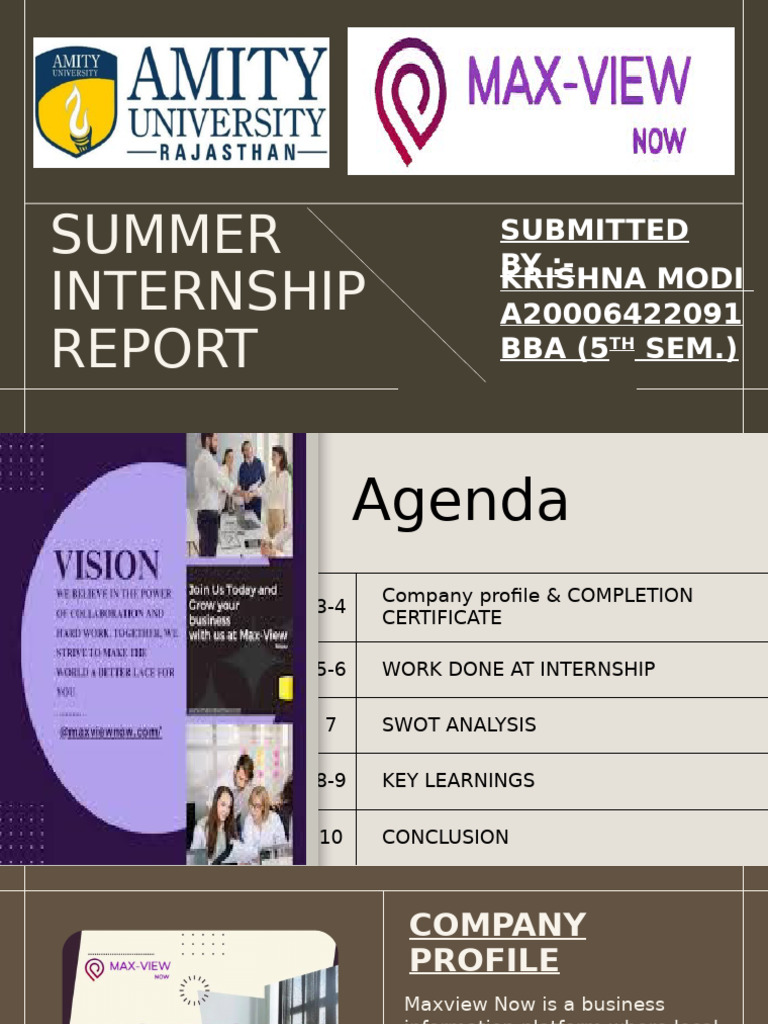 Summer Internship Report: Maxview Now | PDF | Digital Marketing | Analytics