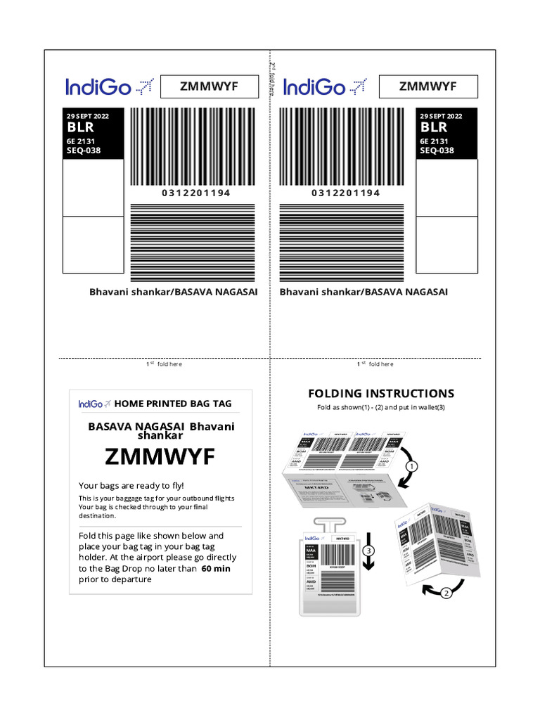 Baggage Tag Instructions for Flight 6E 2131 | PDF