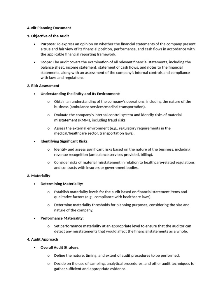 audit-planning-document-pdf-audit-internal-control