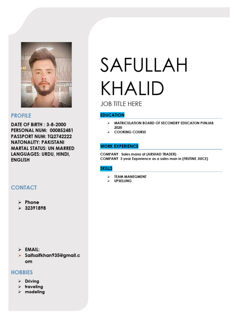 Pakistani Salesman Profile Summary | PDF