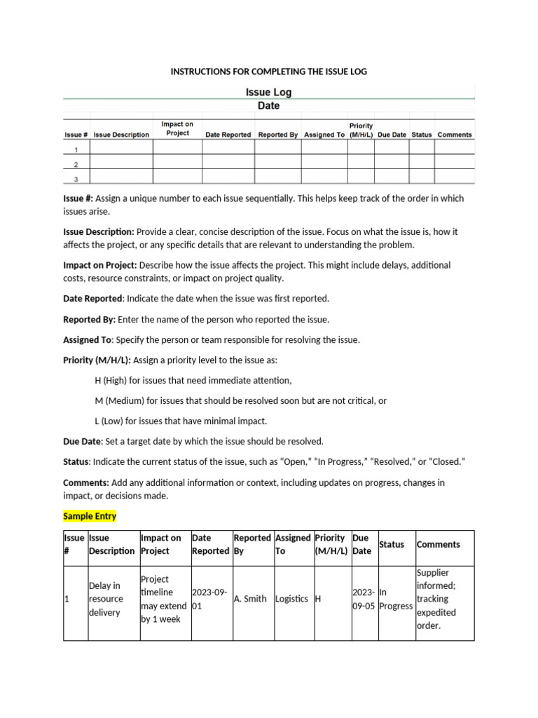 Guidelines For Completing The Issue Log | PDF | Computing