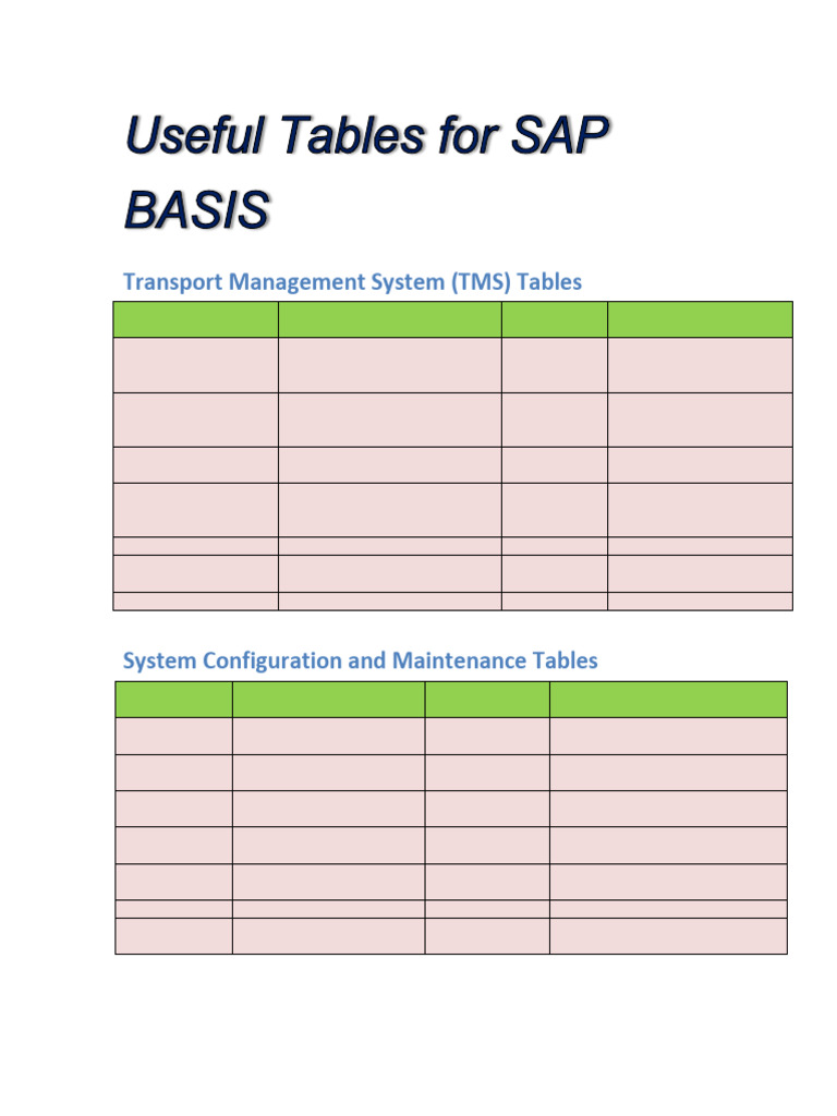 SAPBASISTABLE | PDF | Software Development | Systems Engineering