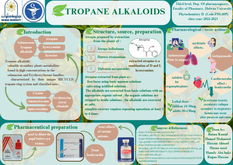 Tropane Alkaloids: Structure, Source, Preparation | PDF | Alkaloid