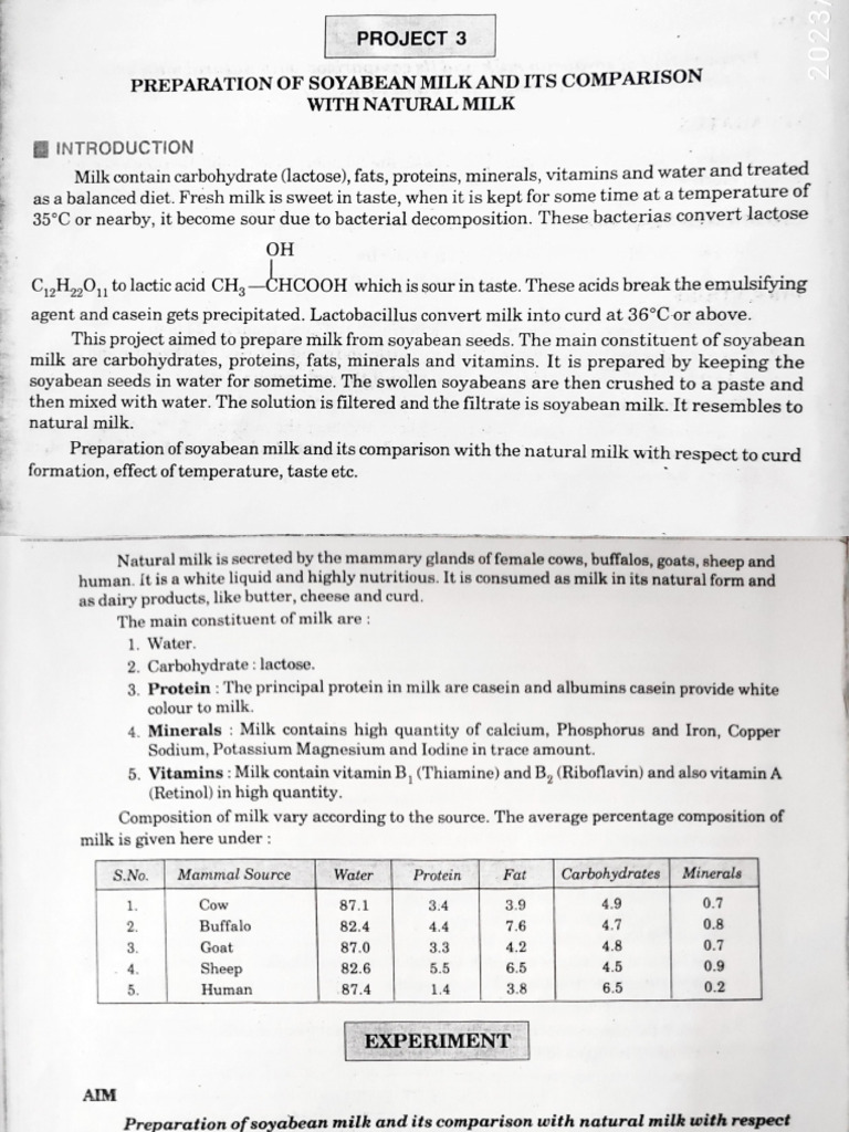 Project 3 | PDF