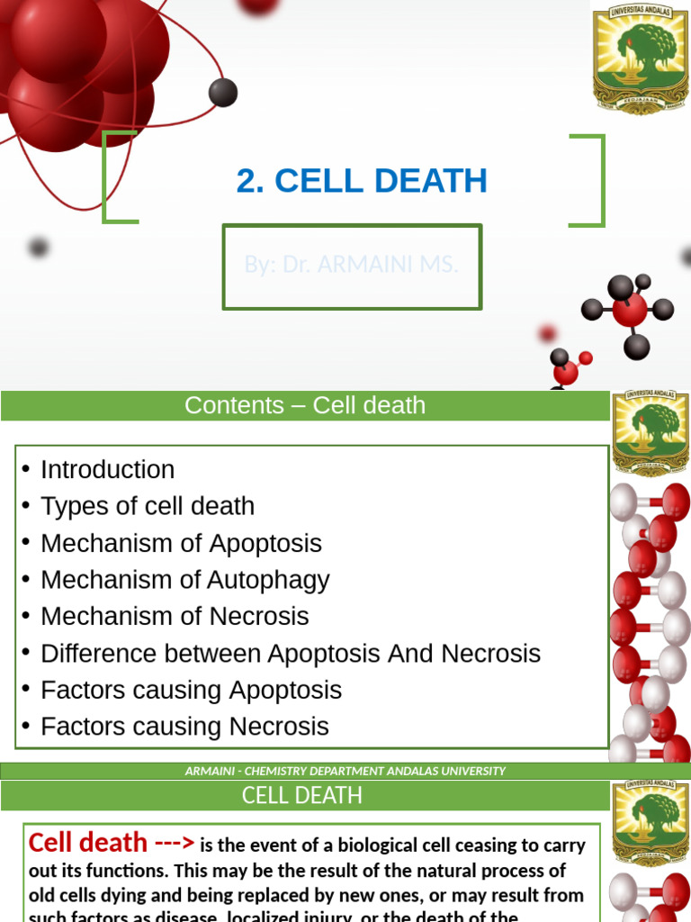 2. Cell Death | PDF | Autophagy | Apoptosis