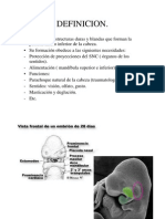 Artrologia de La Cara