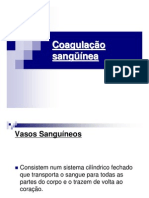 14 - Coagulacao Sanguinea PDF