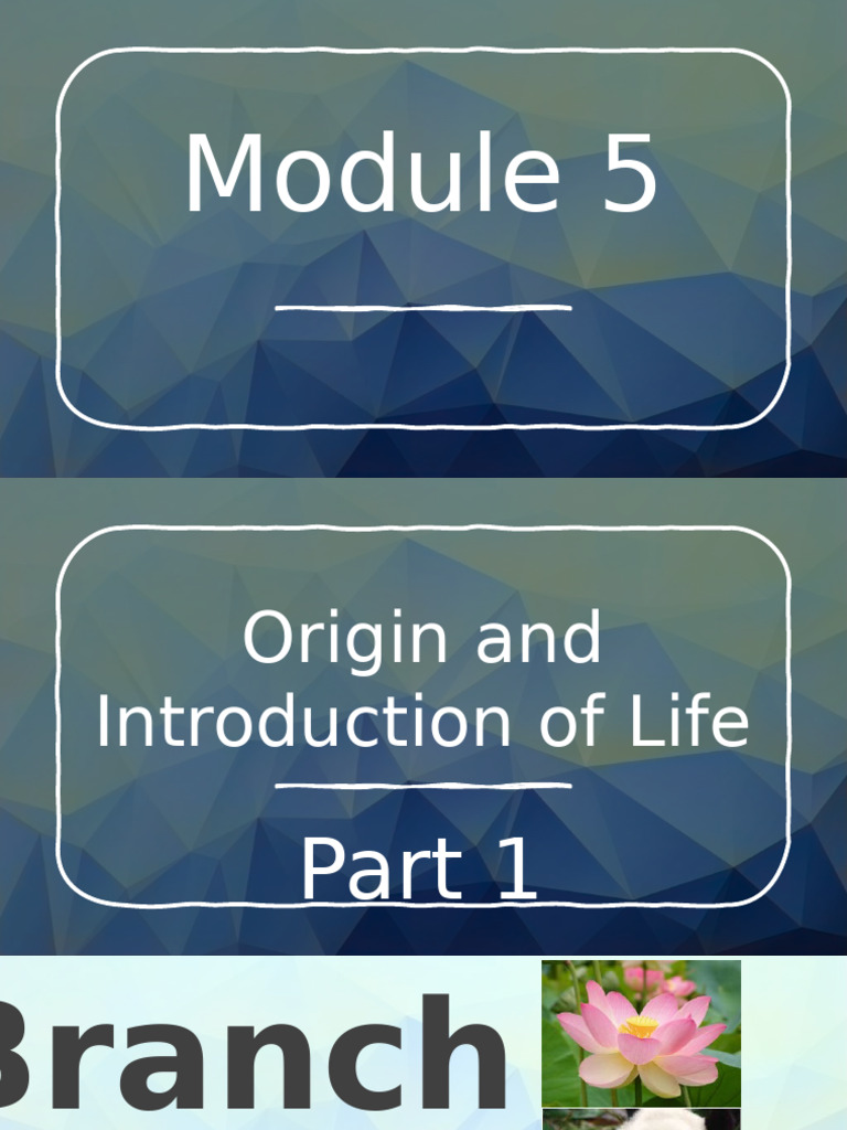 Week 6 - Origin of Life and The Cell | PDF | Cell (Biology) | Cell Membrane