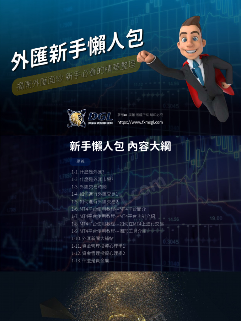外匯鈔能力新手懶人包| PDF