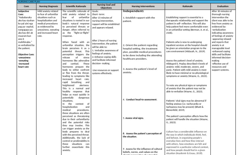 Nursing Care Plan for Mild Anxiety | PDF | Anxiety | Psychology