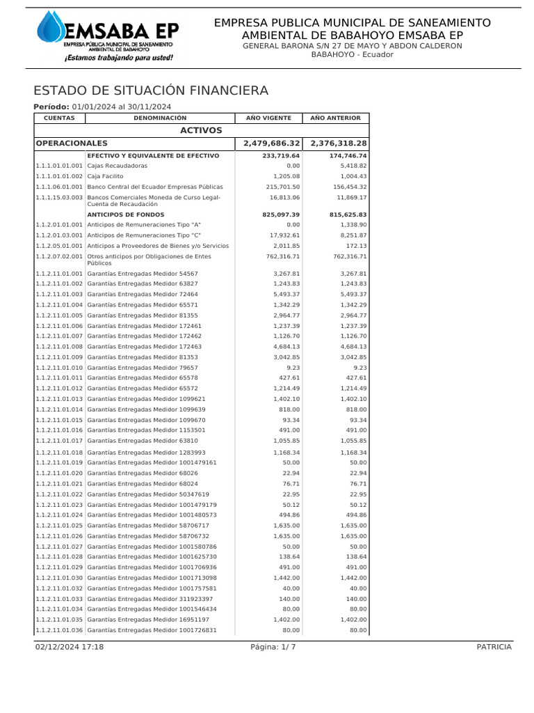 Estado de Situación Financiera - 2024-12-02T171813.524 | PDF ...