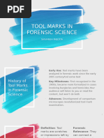 Forensic Tool Marks: Types and Analysis | PDF | Engraving | Tools