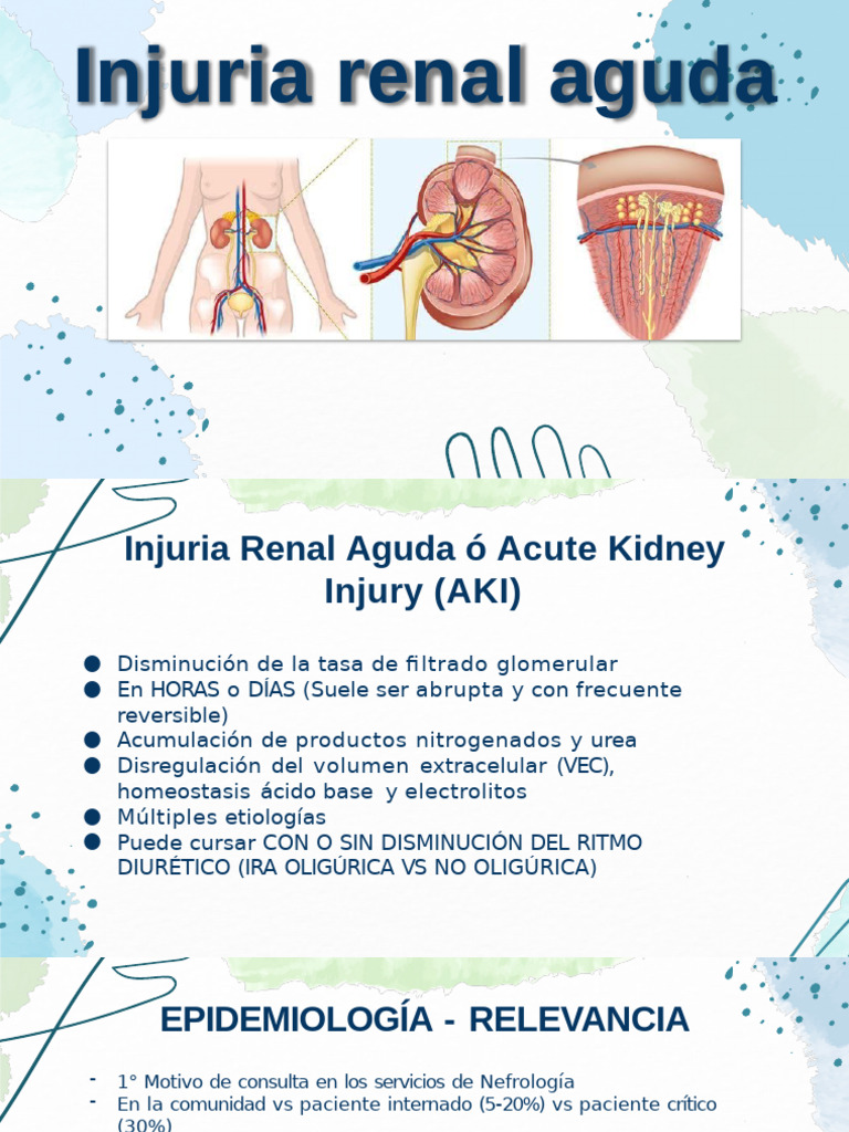 Injuria Renal Aguda: Causas y Tratamiento | PDF | Septicemia ...