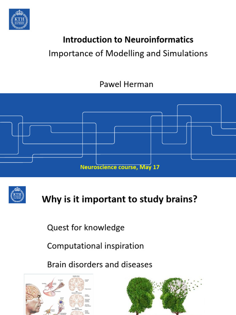 Neuroinformatics: Advancing Brain Science | PDF | Conceptual Model ...