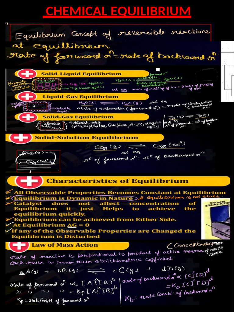 Understanding Chemical Equilibrium Principles | PDF