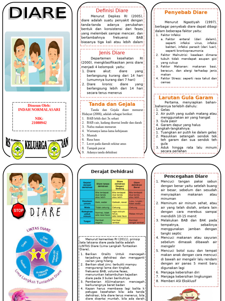 Panduan Penanganan Diare | PDF