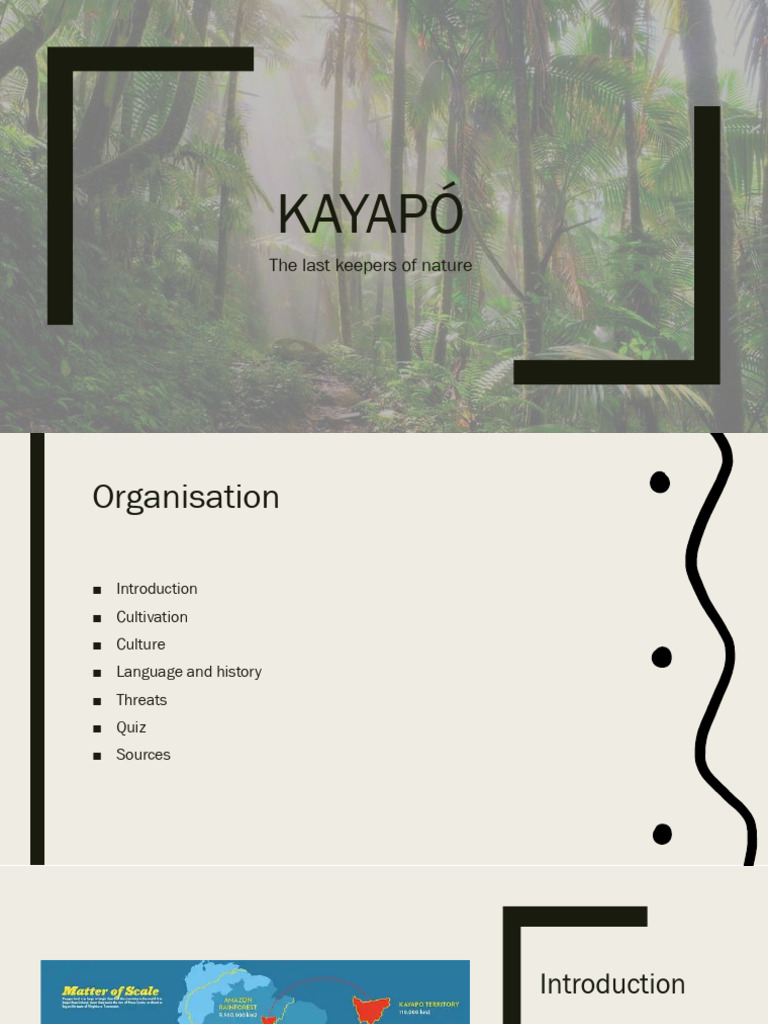 Kayapó: Guardians of the Amazon | PDF