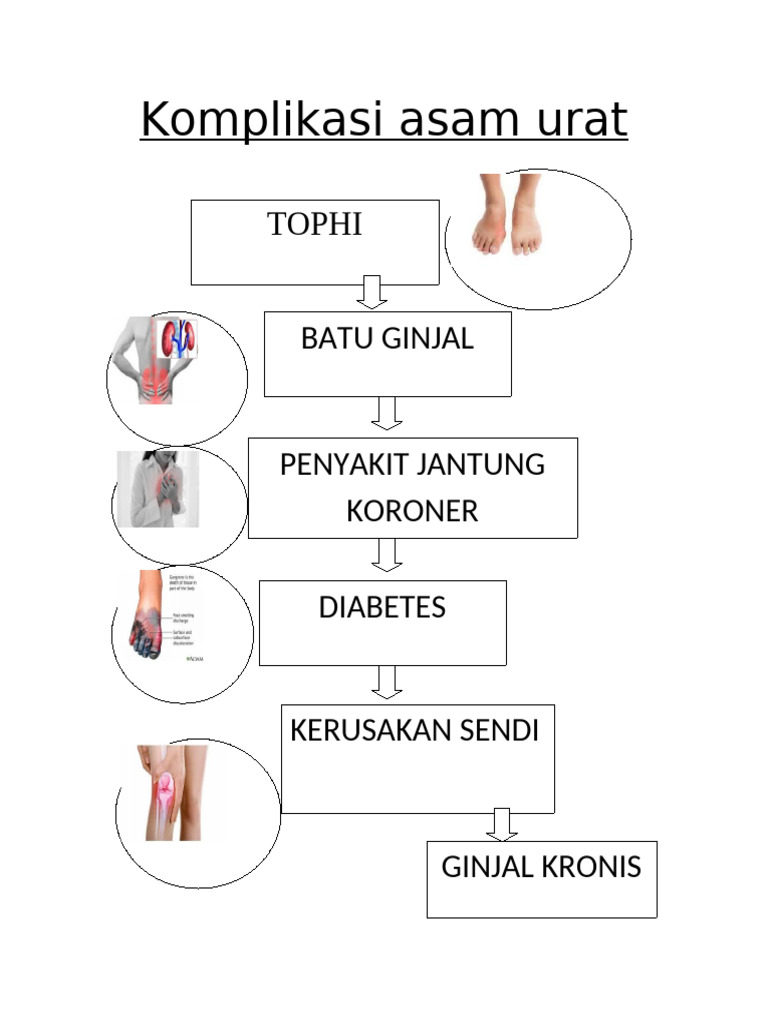 Booklet Komplikasi Asam Urat | PDF