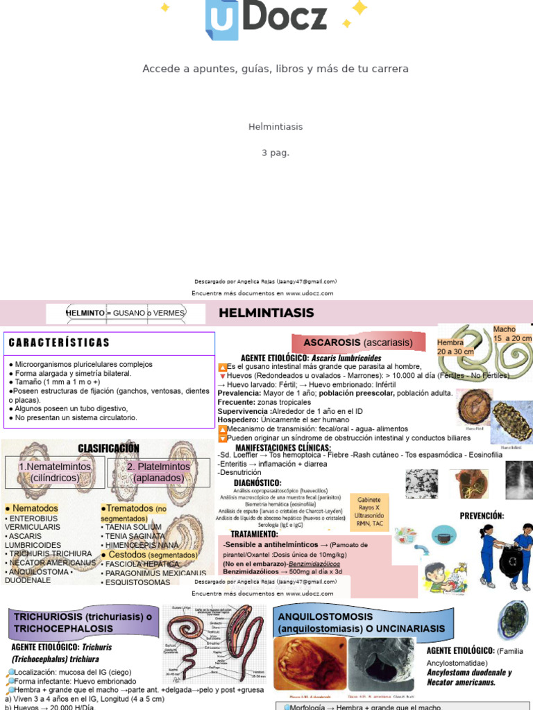 Flashcards Helmintos 619862 Downloadable 701417 | PDF | Parasitología ...