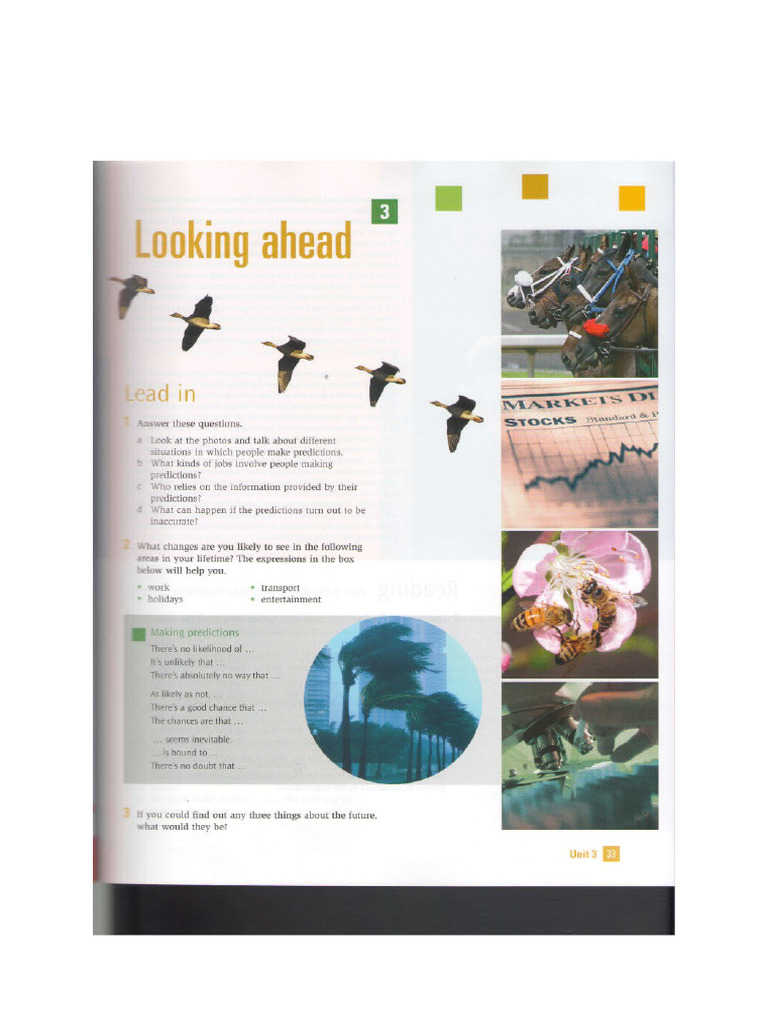 Looking Ahead PDF