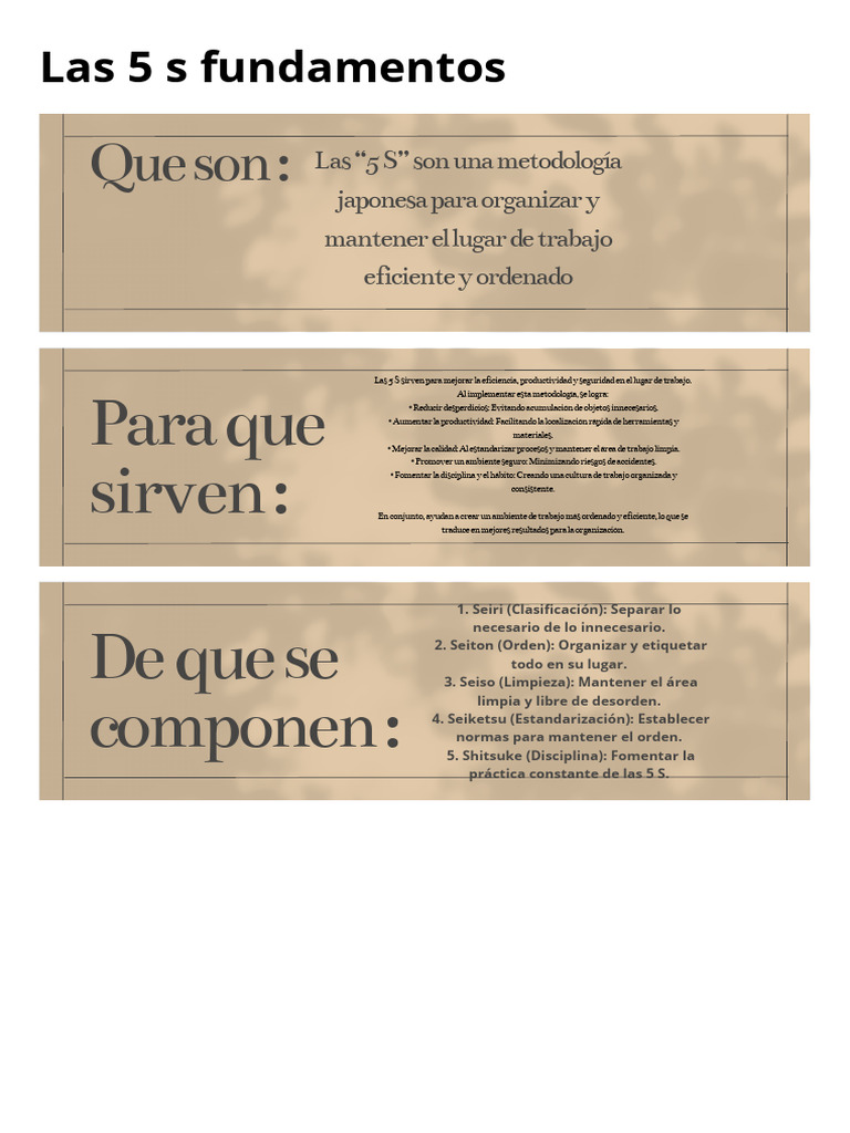 Las 5 S Fundamentos PDF | PDF