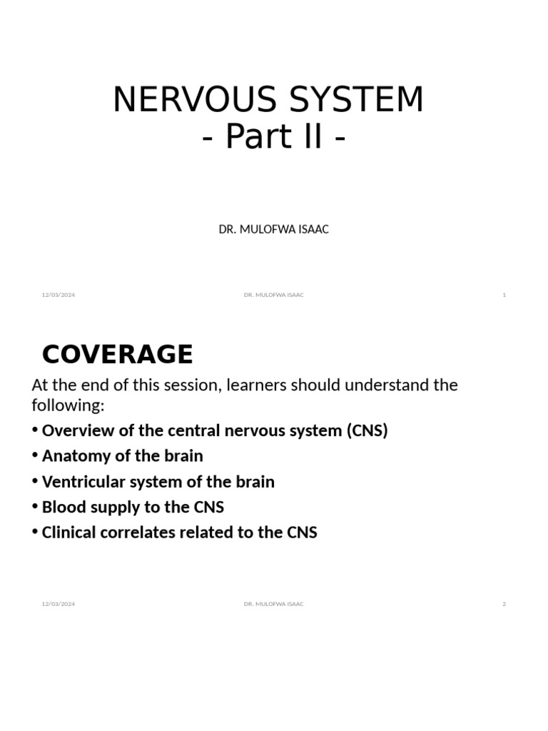 Central Nervous System Overview | PDF | Central Nervous System | Cerebrum