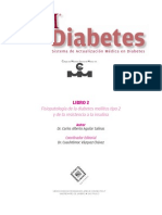 SAM Diabetes Fisiopatologia 2008