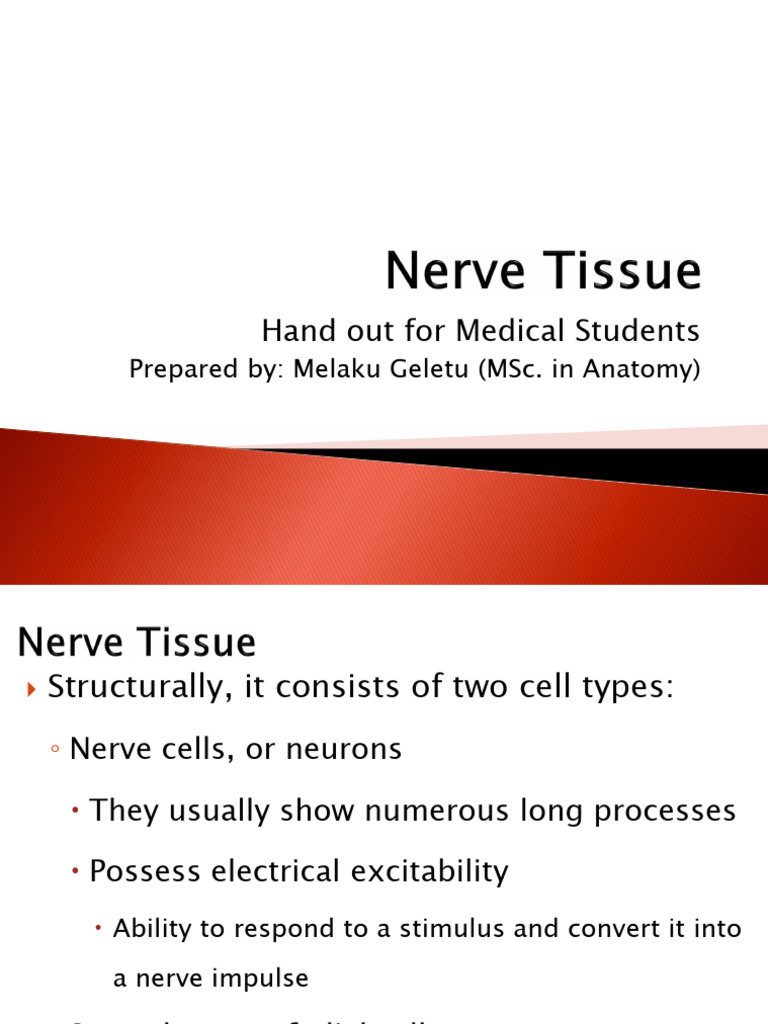 Nerve Tissue Pdf Neuron Axon