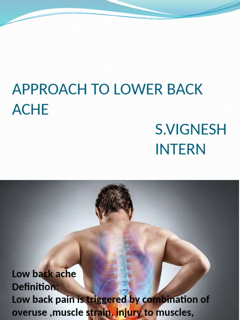 Understanding Low Back Pain Causes | PDF | Back Pain | Low Back Pain